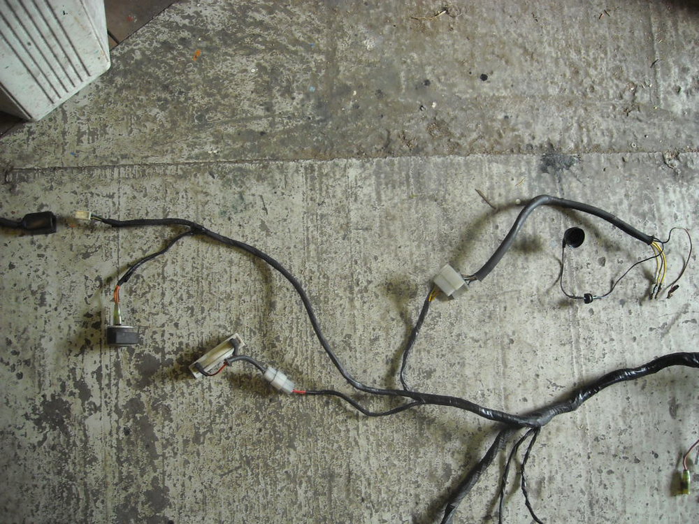 DSCN3763.JPG