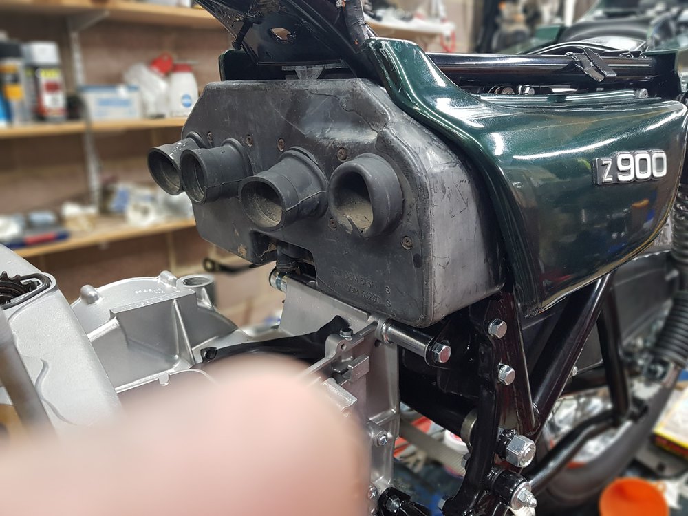 20190406_123951.jpg