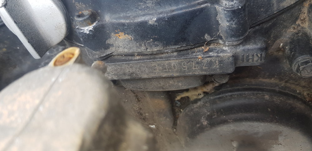 20190620_131337.jpg