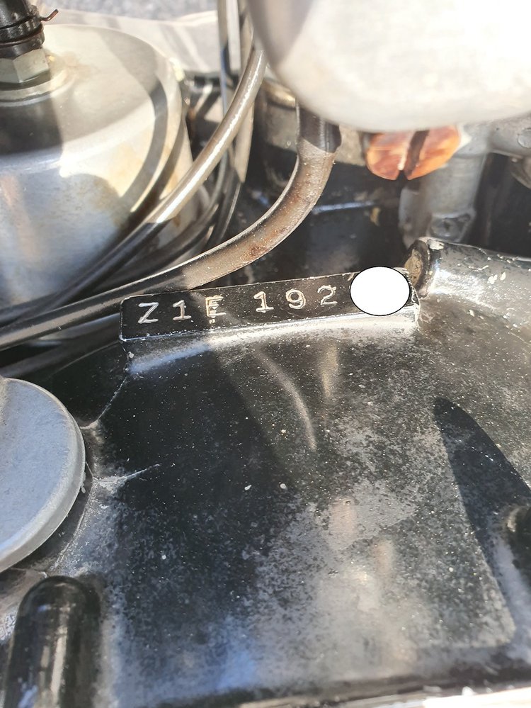 20190625_184157.jpg