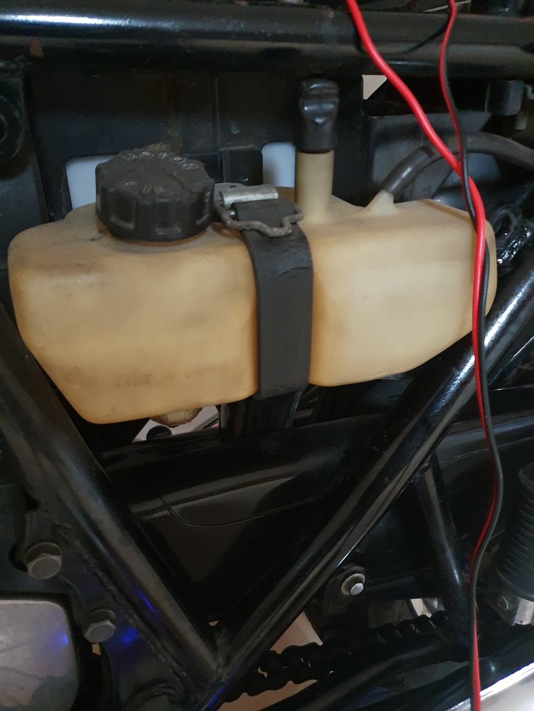 20190625_205511.jpg