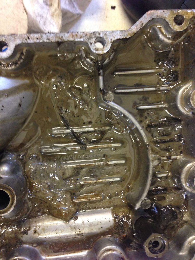 Bottom of oil pan1.jpg