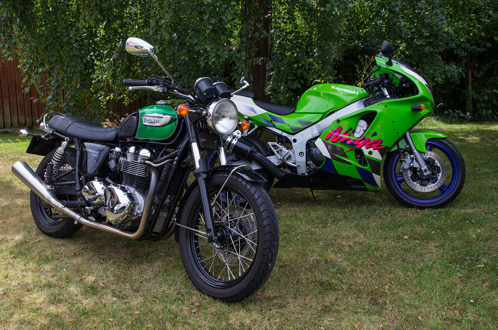 Bonnie-Ninja01p.jpg