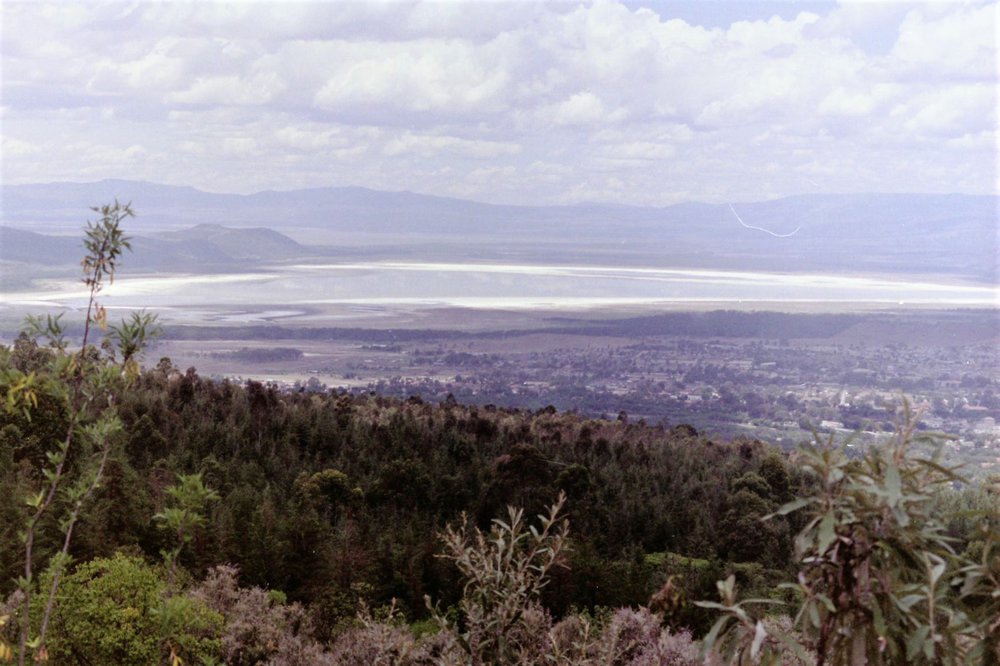 lake nakuru.JPG