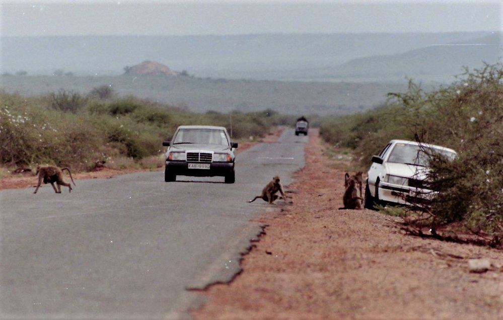 Tsavo park.JPG