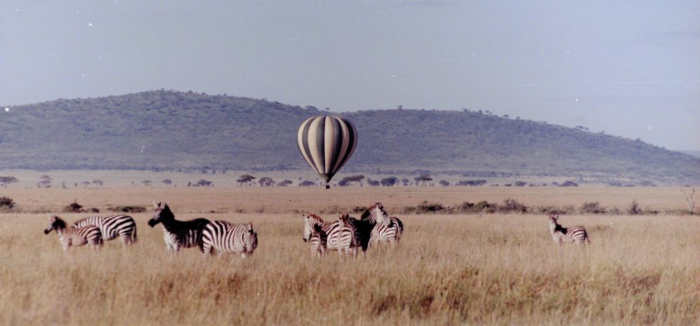 safari_5 (2).JPG