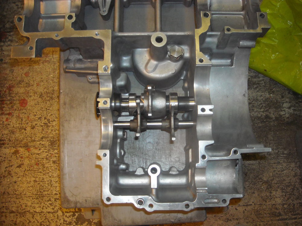 DSCN4233.JPG
