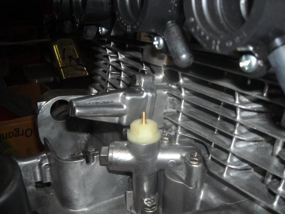 DSCN4292.JPG