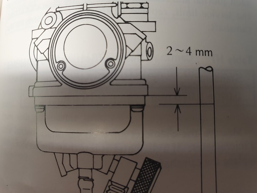 20201103_165157.jpg