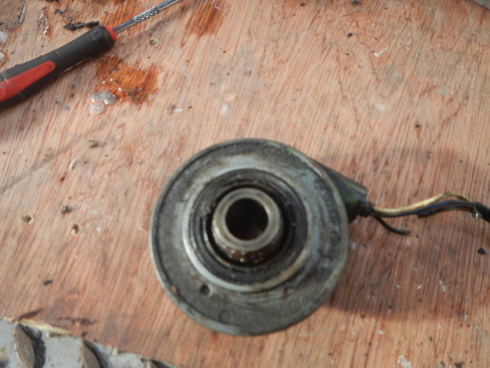 DSCN1545.JPG