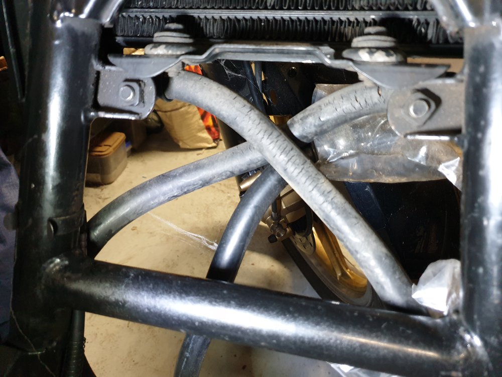 20201231_194704.jpg