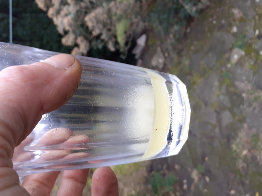 20211230_122651 Ethanol.jpg