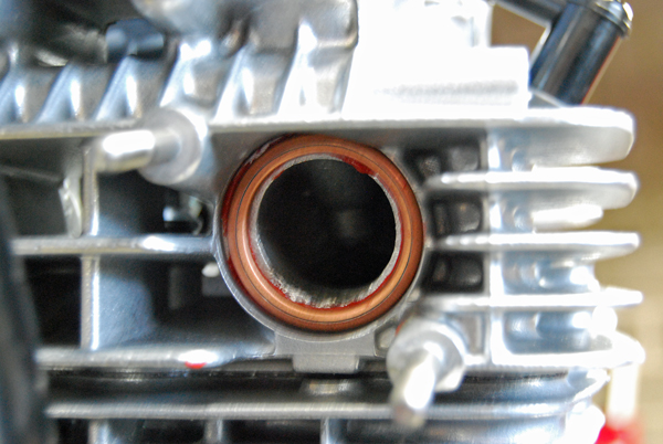Z900A4_230315_8.jpg