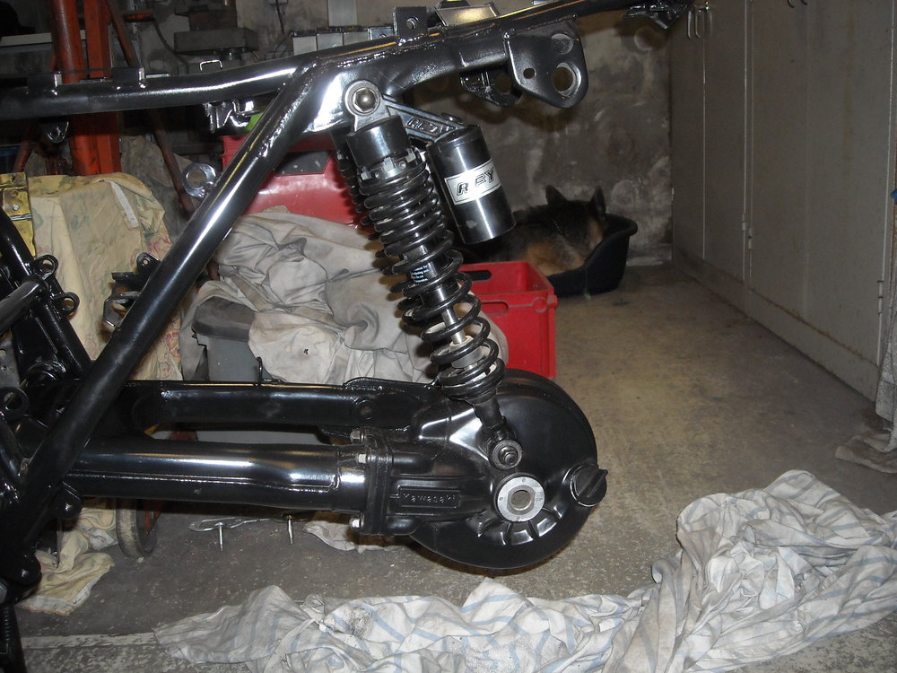 DSCN7382.JPG