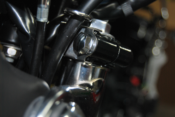 Z900A4_151214_5.jpg