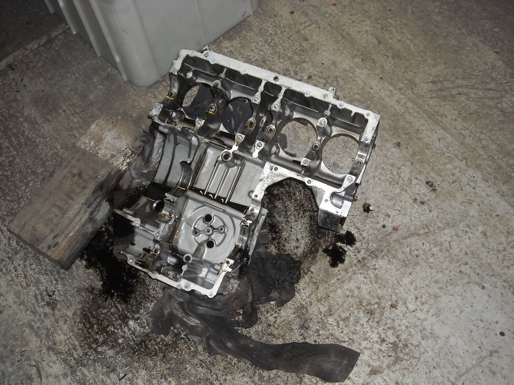 DSCN6131.JPG