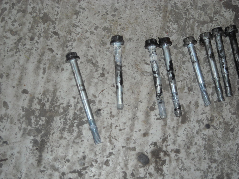 DSCN6134.JPG