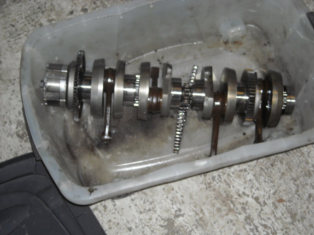 DSCN6135.JPG