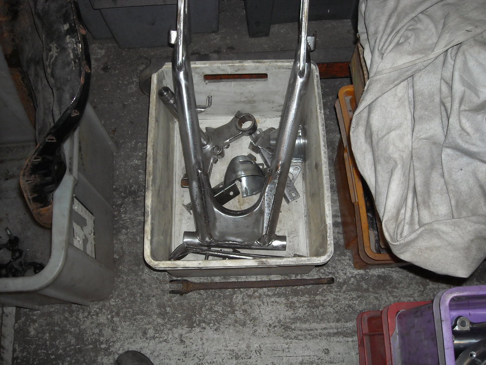 DSCN6246.JPG