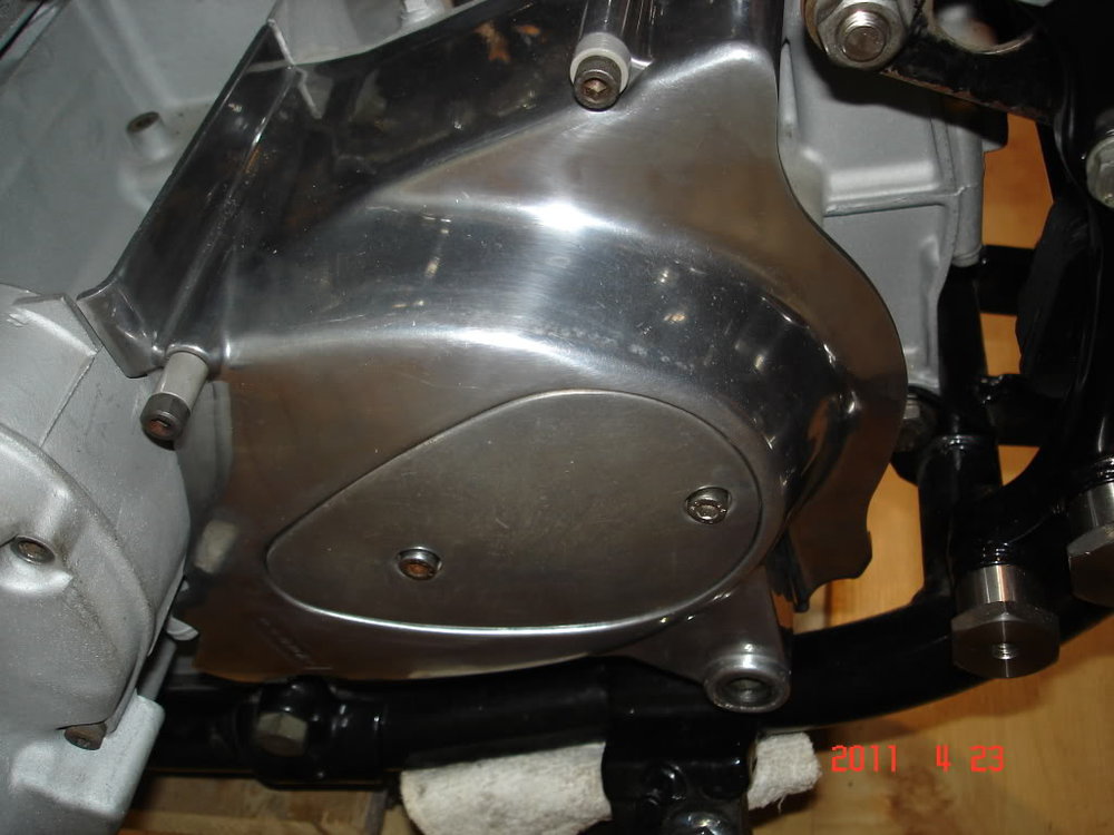 DSC01253.jpg
