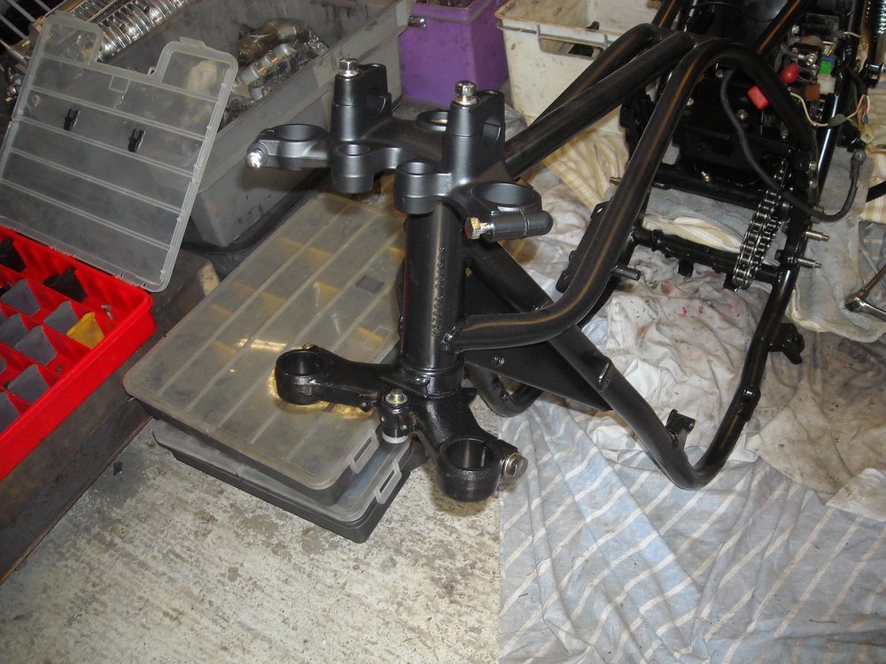 DSCN6554.JPG