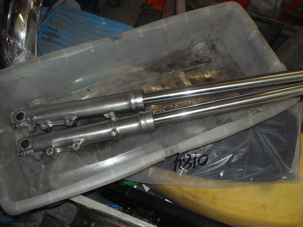 DSCN6556.JPG