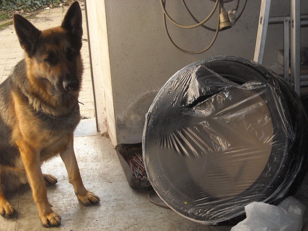 DSCN6560.JPG