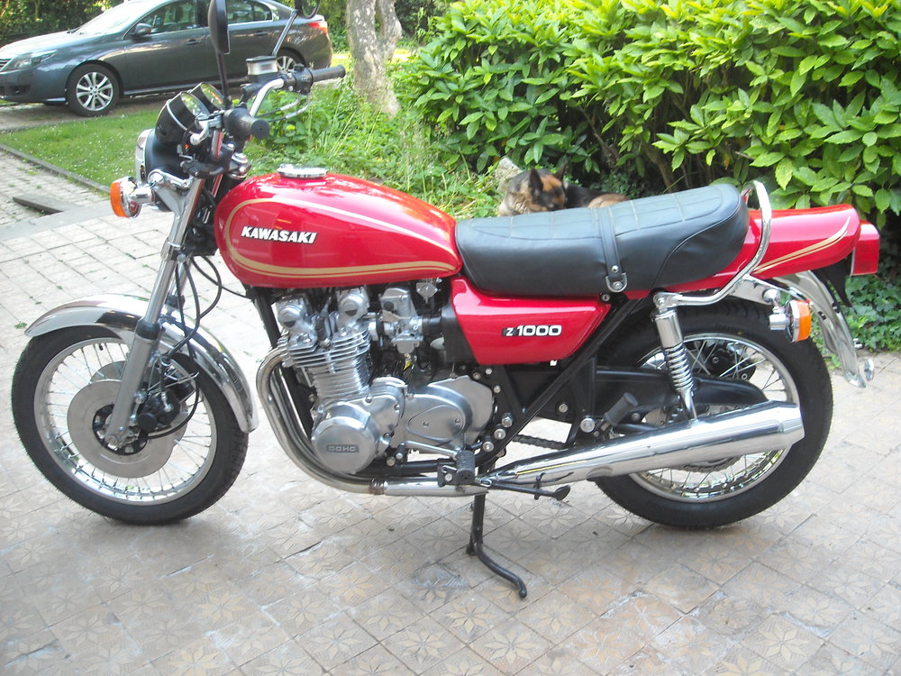 DSCN7796.JPG