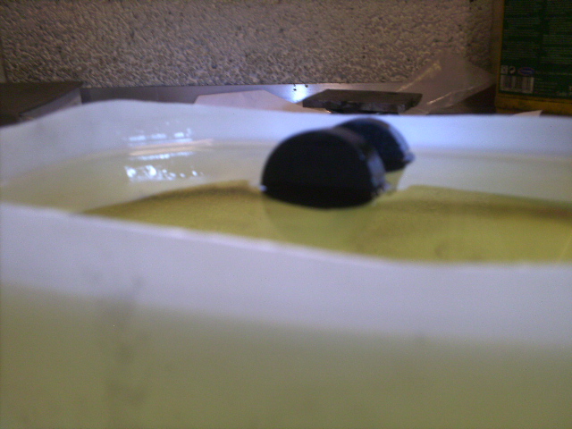 PICT0354.JPG