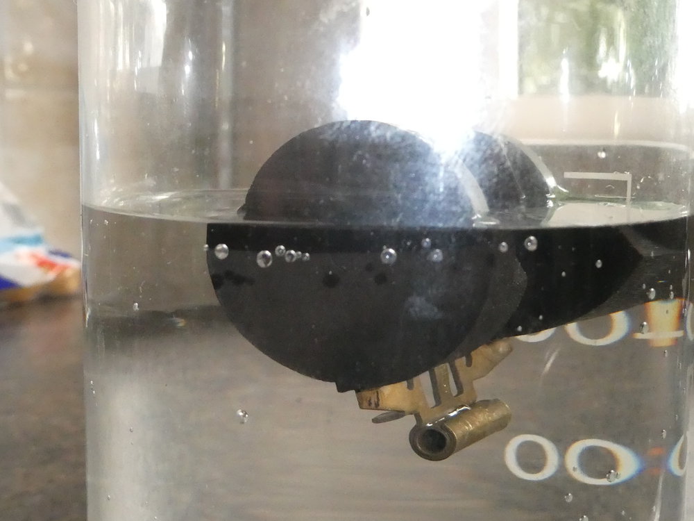P1020733.JPG