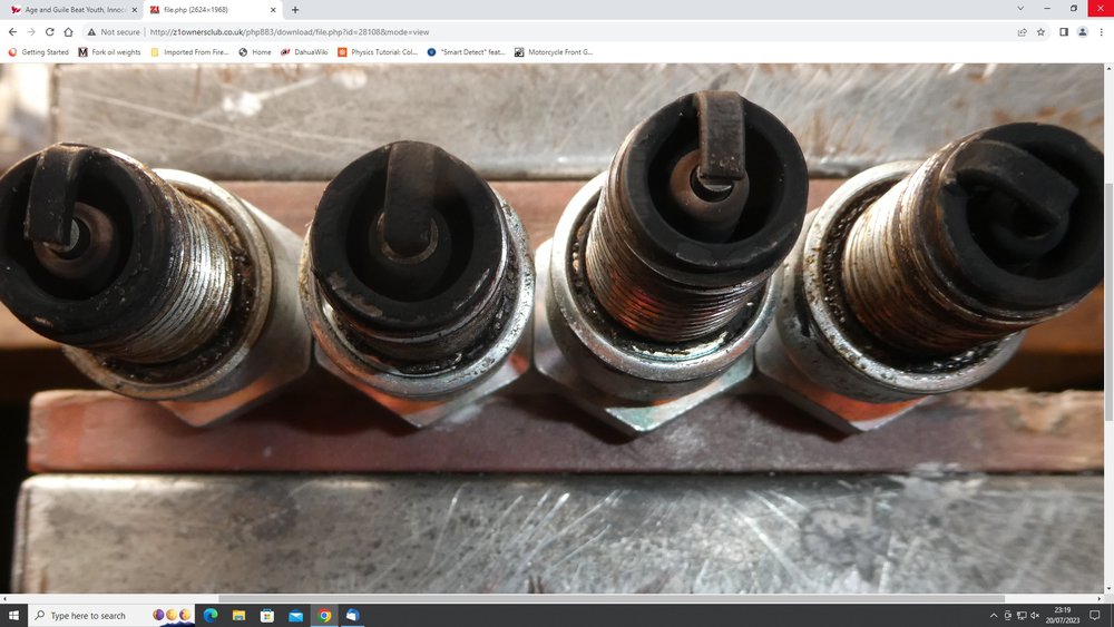 black plugs.jpg
