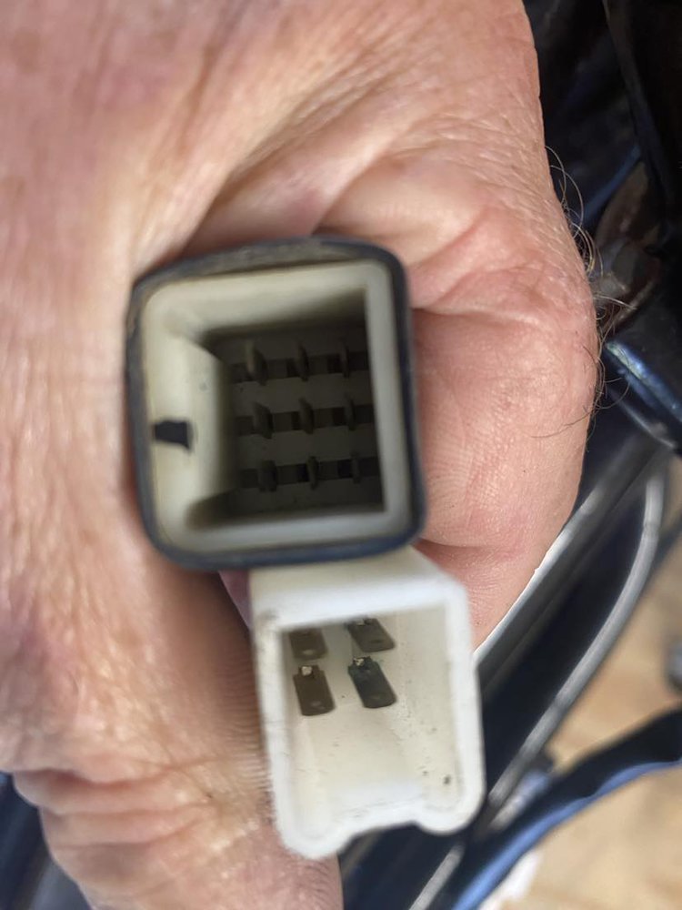 electrics 2.jpg