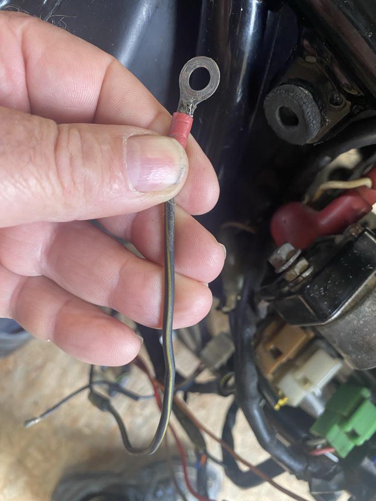 wire 1.jpg