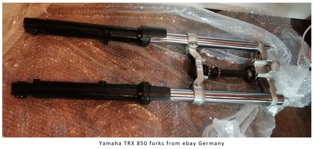 125 Ebay TRX Forks.jpg
