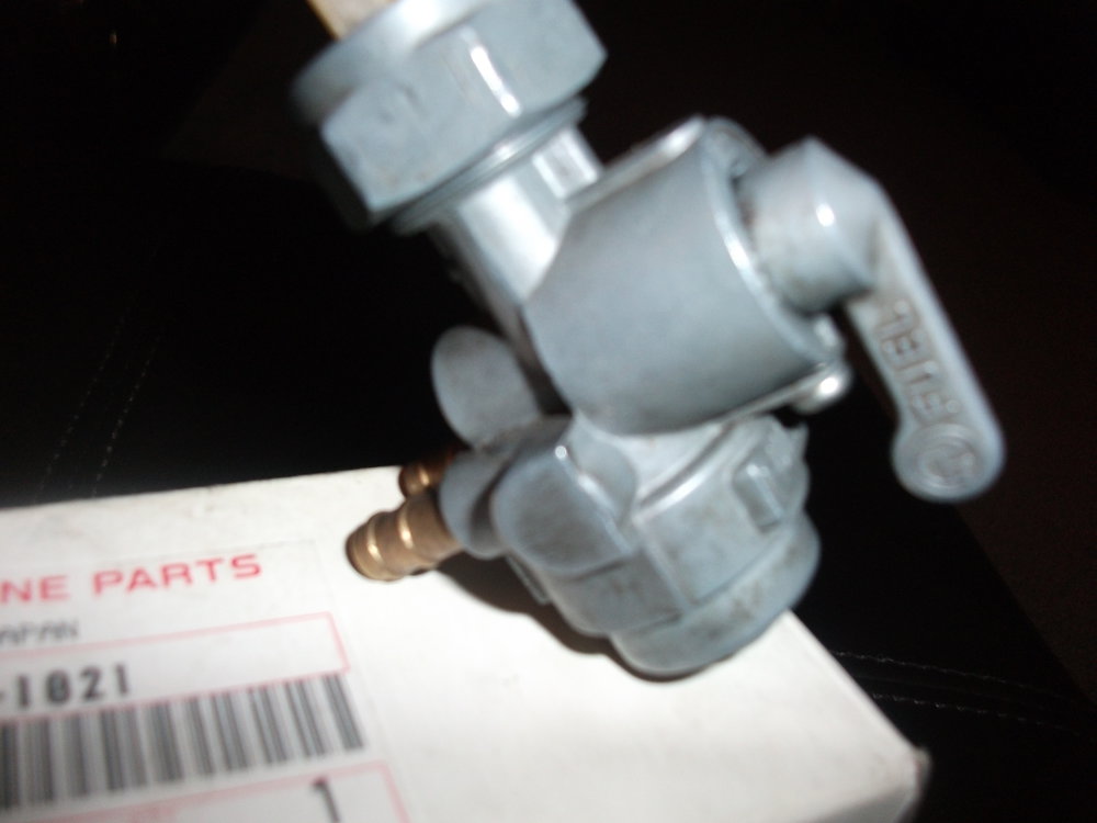 DSCF3550.JPG