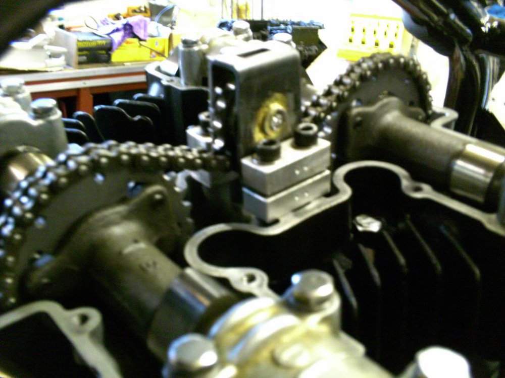 PICT0019.jpg