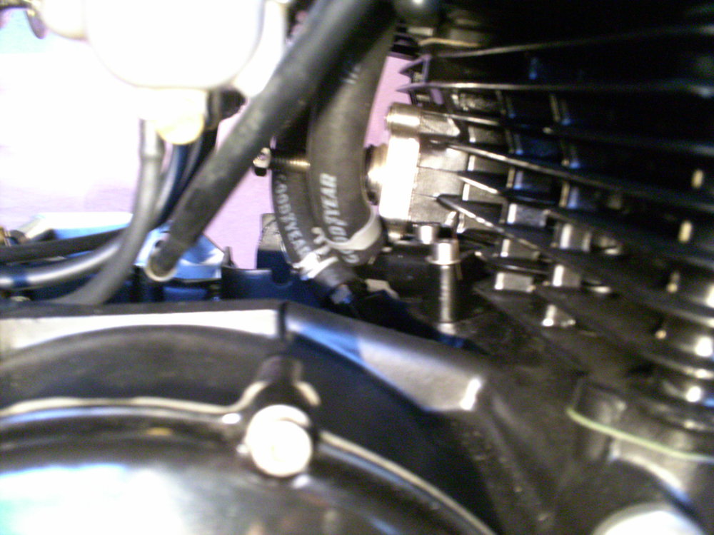 PICT0049.JPG