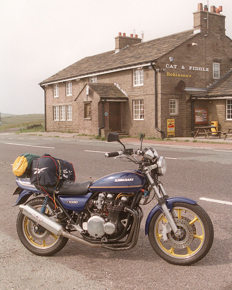 Cat&Fiddle 1.jpg